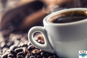 Coffee - Créme Brûlée