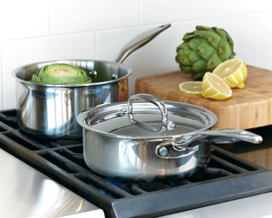 2 Quart Saucepan with Lid, Stainless Steel Pot, Sauce Pan, Cooking Pot,  Saucepan